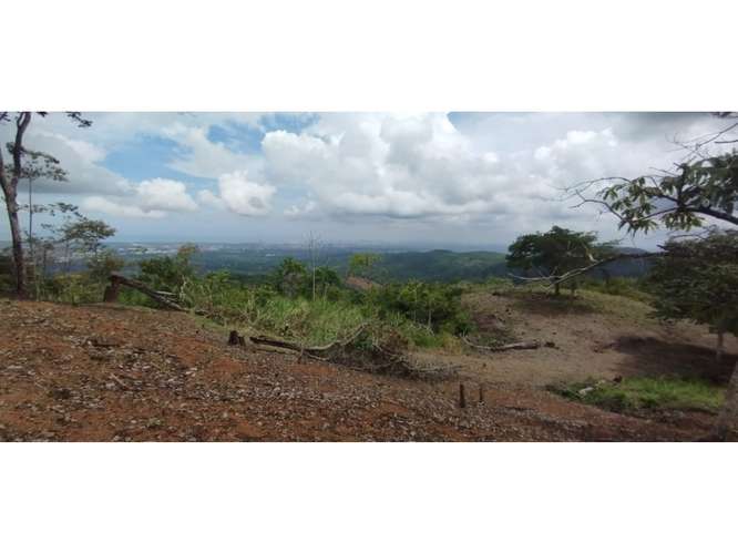 CERRO AZUL / TERRENO / 7 HECTAREAS / VISTA A LA CIUDAD Y MAR - Imagen 3