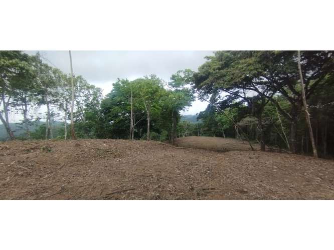 CERRO AZUL / TERRENO / 7 HECTAREAS / VISTA A LA CIUDAD Y MAR - Imagen 6