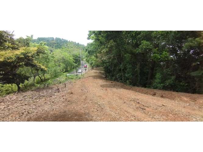 CERRO AZUL / TERRENO / 7 HECTAREAS / VISTA A LA CIUDAD Y MAR - Imagen 15