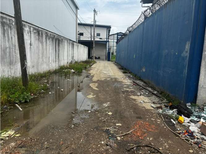 RIO ABAJO / TERRENO COMERCIAL / 550M / CALLE SECUNDARIA / PARA GALERA - Imagen 12