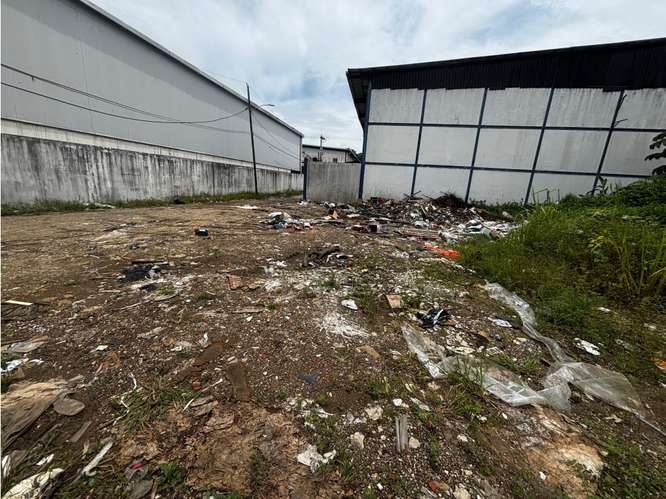 RIO ABAJO / TERRENO COMERCIAL / 550M / CALLE SECUNDARIA / PARA GALERA - Imagen 5