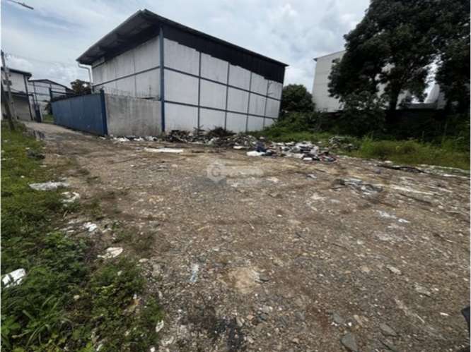 RIO ABAJO / TERRENO COMERCIAL / 550M / CALLE SECUNDARIA / PARA GALERA - Imagen 14