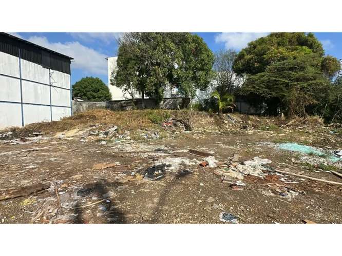RIO ABAJO / TERRENO COMERCIAL / 550M / CALLE SECUNDARIA / PARA GALERA - Imagen 6