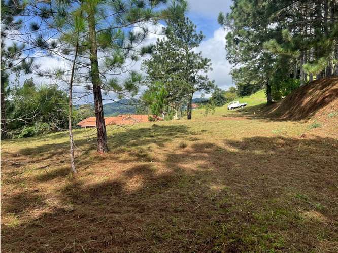 Lote en venta Negociable en Piamonte, Altos del María - Imagen 4