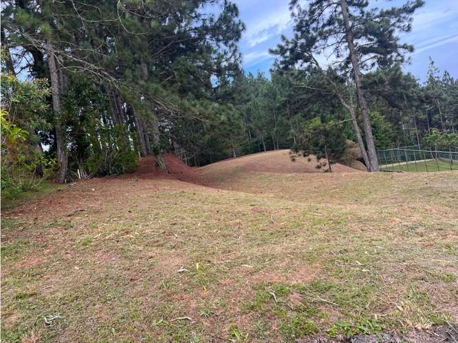 Lote en venta Negociable en Piamonte, Altos del María - Imagen 5