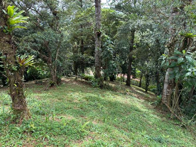 Lote en Altos del Maria - Imagen 12