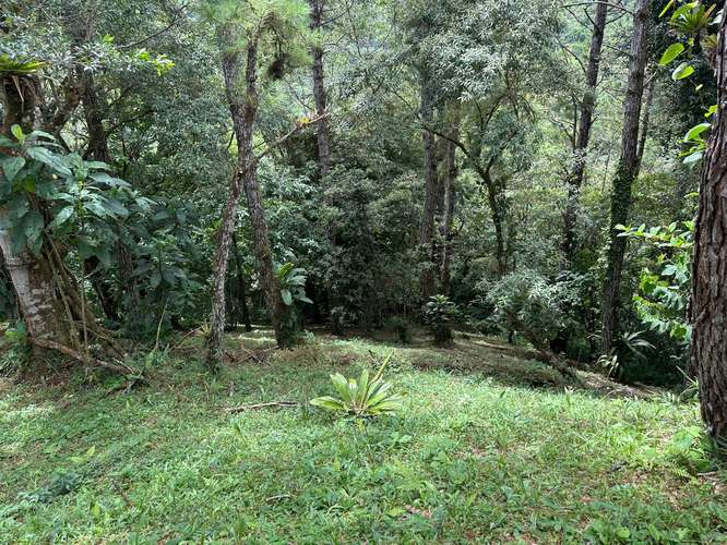 Lote en Altos del Maria - Imagen 11