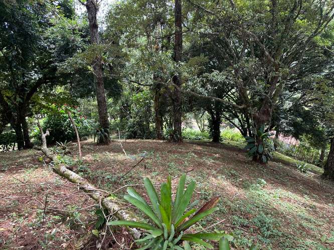 Lote en Altos del Maria - Imagen 9