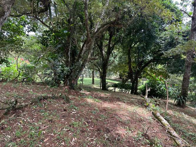 Lote en Altos del Maria - Imagen 8