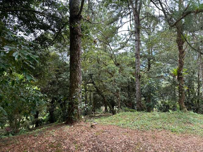 Lote en Altos del Maria - Imagen 14