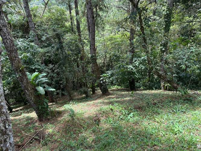 Lote en Altos del Maria - Imagen 6