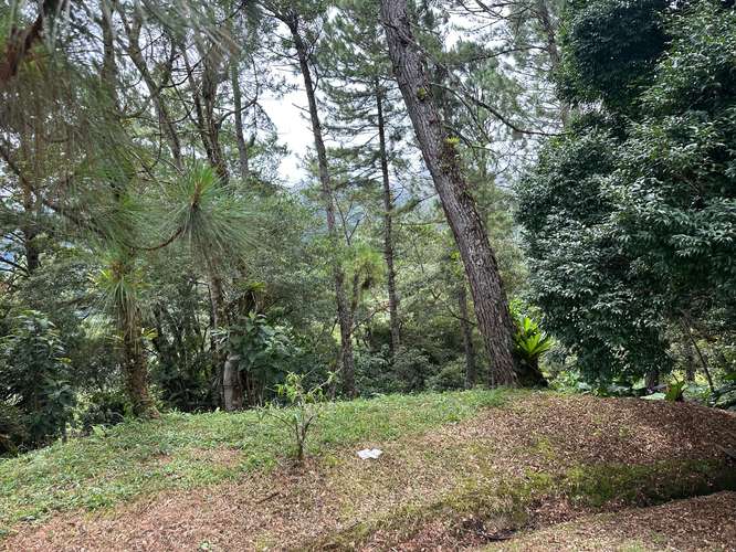 Lote en Altos del Maria - Imagen 13