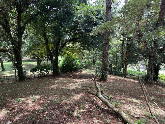 Lote en Altos del Maria - Imagen 7