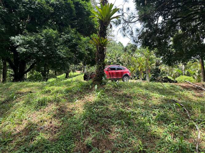 Lote en Altos del Maria - Imagen 4