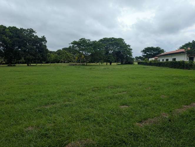 Lote de 2,030 m2 en Fairways, Buenaventura Golf & Beach Resort - Imagen 2