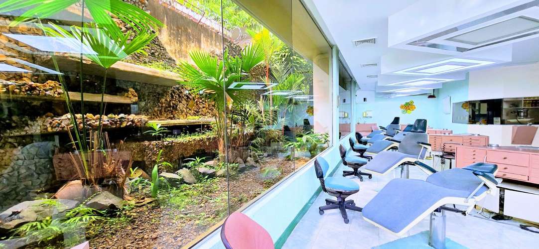 OPORTUNIDAD!!! RENTO CLÍNICA DENTAL AMUEBLADA Y EQUIPADA | 248.14 m² | CERCA DEL METRO - Imagen 2