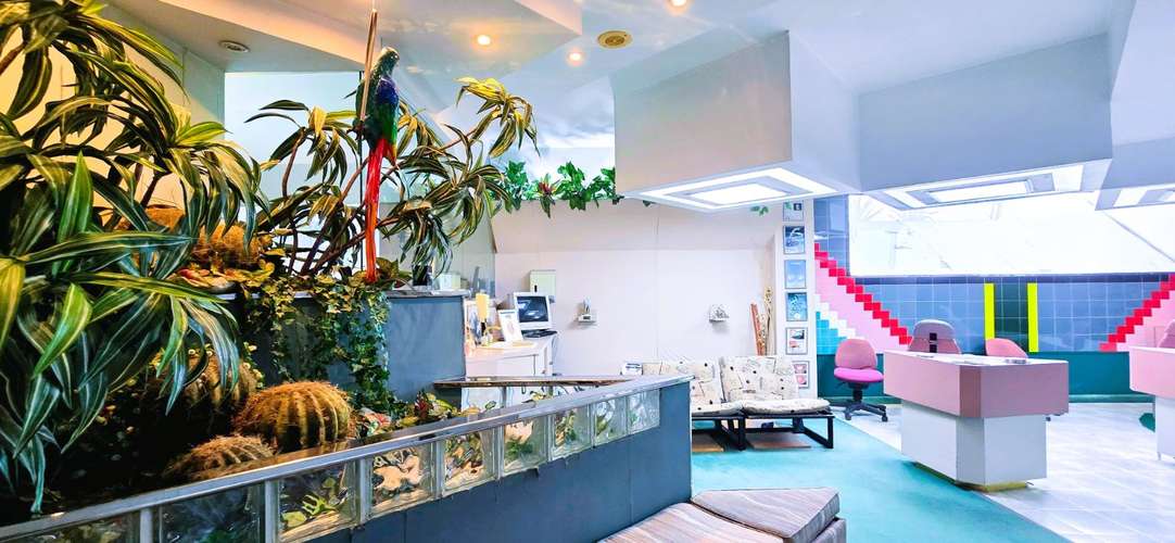 OPORTUNIDAD!!! RENTO CLÍNICA DENTAL AMUEBLADA Y EQUIPADA | 248.14 m² | CERCA DEL METRO - Imagen 19