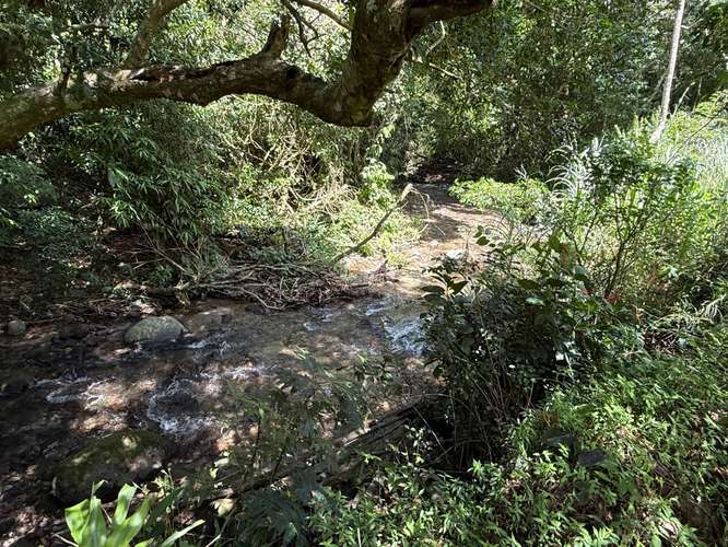 Venta de Casa en El Valle de Antón, con terreno de 4.5ha. - Imagen 20