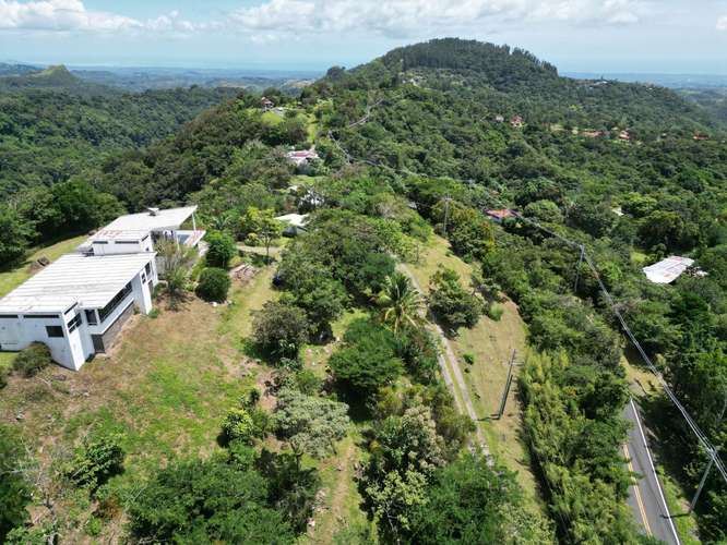 Venta de Casa en El Valle de Antón, con terreno de 4.5ha. - Imagen 16