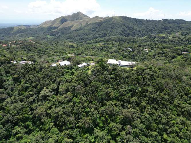 Venta de Casa en El Valle de Antón, con terreno de 4.5ha. - Imagen 18