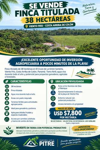 TERRENOS – CHAME / FINCA – VIENTO FRÍO, COSTA ARRIBA DE COLÓN - Imagen 5