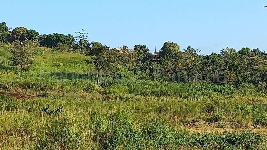Venta de Terreno en Chorrera ABS - Imagen 6