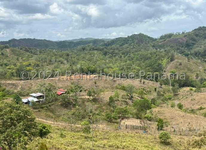 Venta de Terreno en Lidice – sin direccion - Imagen 2