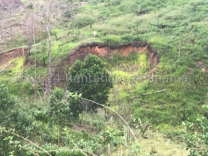 Venta de Terreno en Lidice – sin direccion - Imagen 13