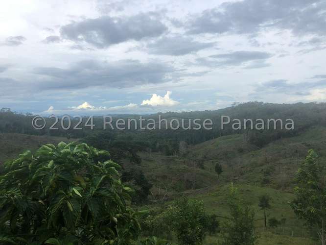 Venta de Terreno en Lidice – sin direccion - Imagen 14