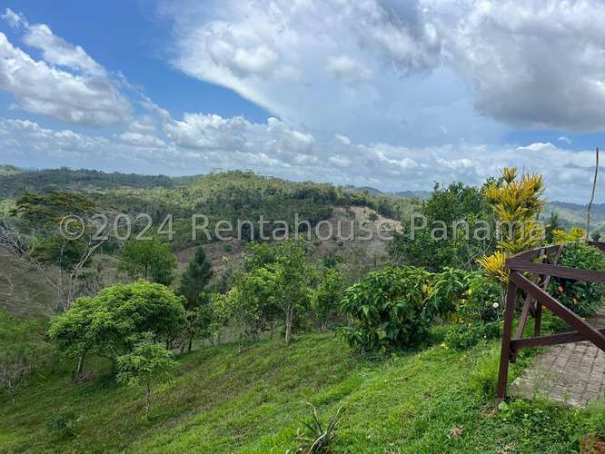 Venta de Terreno en Lidice – sin direccion - Imagen 11