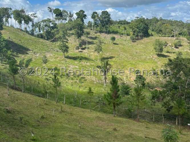 Venta de Terreno en Lidice – sin direccion - Imagen 4