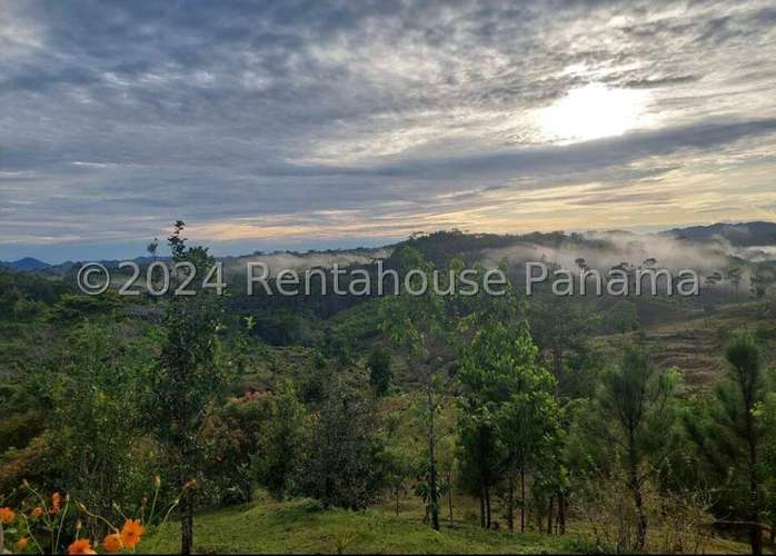 Venta de Terreno en Lidice – sin direccion - Imagen 6