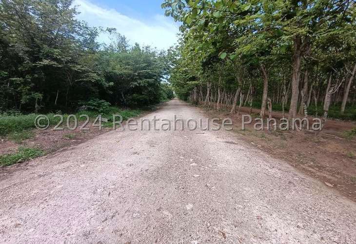 Venta de Terreno en Playa Blanca – Terreno - Imagen 2