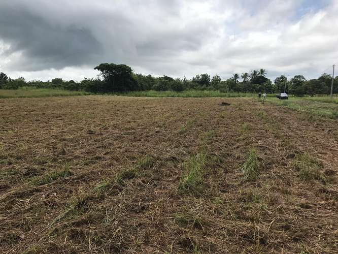 SE VENDE DOS LOTES EN CHIRU, COSTA PACÍFICA 
