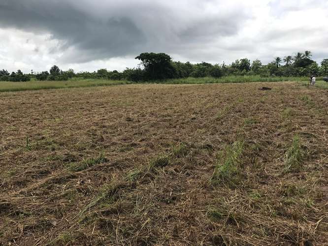 SE VENDE DOS LOTES EN CHIRU, COSTA PACÍFICA  - Imagen 5
