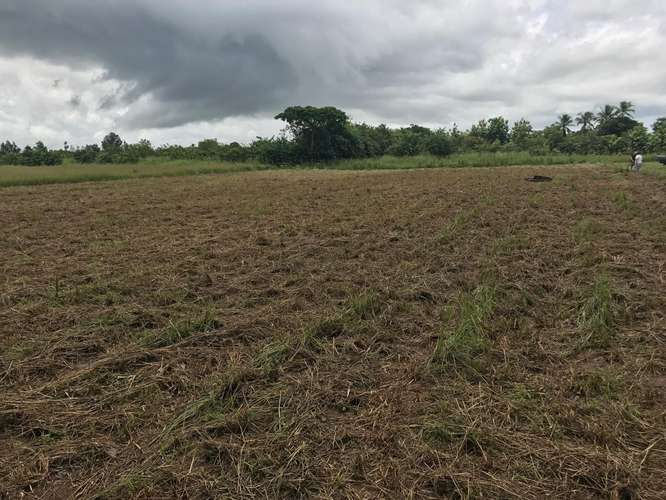 SE VENDE DOS LOTES EN CHIRU, COSTA PACÍFICA  - Imagen 3