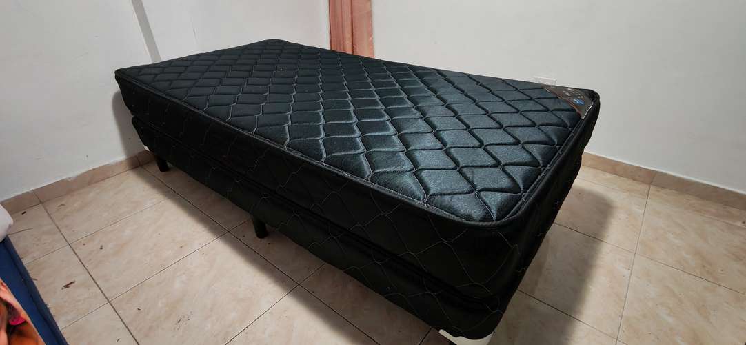 Colchon twin con box spring Flex Relax