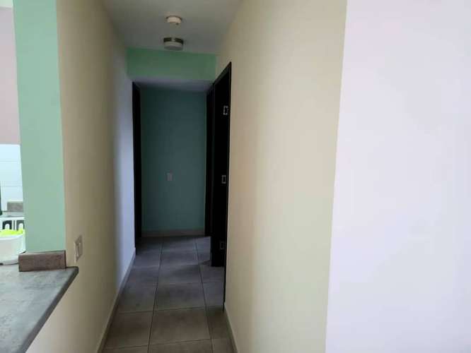 Alquilo Apartamento en Parque Lefevre Ph Alegría DC - Imagen 6