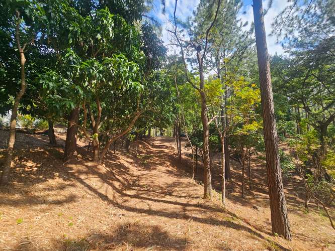Terreno en Venta en Altos del María 129,000 - Imagen 18
