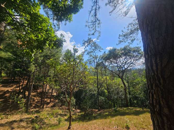 Terreno en Venta en Altos del María 129,000 - Imagen 13