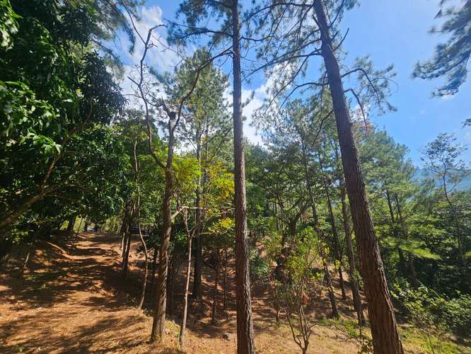 Terreno en Venta en Altos del María 129,000 - Imagen 17