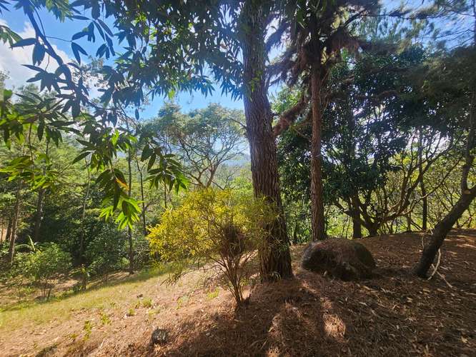 Terreno en Venta en Altos del María 129,000 - Imagen 16