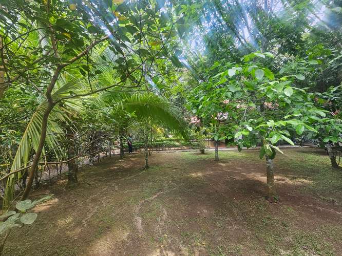TERRENO EN VENTA EN ÁREAS REVERTIDAS DEL CANAL DE PANAMÁ | 1,221.81 m² | $496,232 - Imagen 9