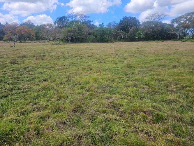 Terreno de 5,000 m² en Capira – Ideal para inversión o vivienda - Imagen 5