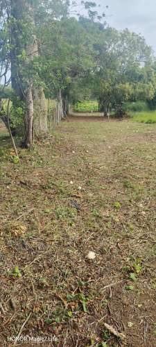 Terreno de 5,000 m² en Capira – Ideal para inversión o vivienda - Imagen 16