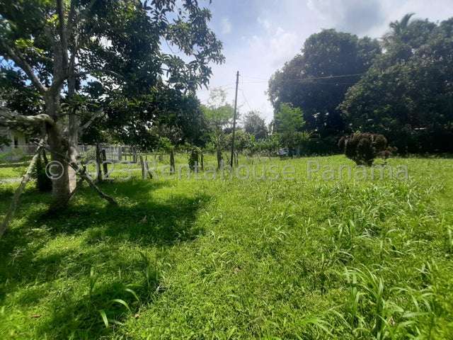 Terreno en Santa Marta, Bugaba, amplia propiedad con casa, terreno plano de gran tamaño y a 2 minutos de Interamericana - Imagen 4