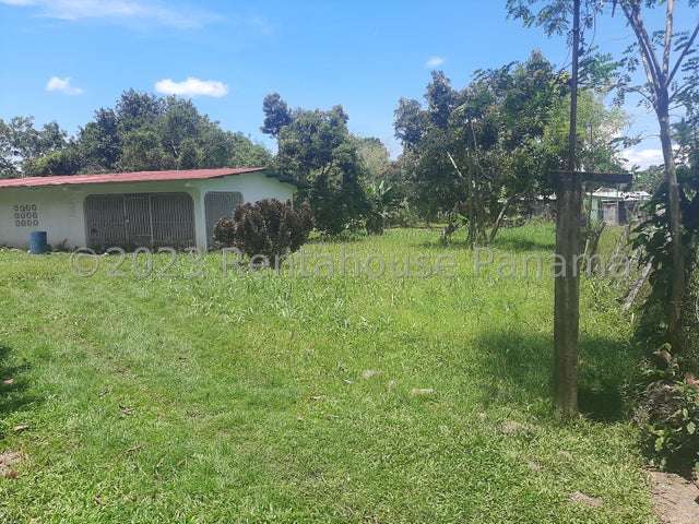 Terreno en Santa Marta, Bugaba, amplia propiedad con casa, terreno plano de gran tamaño y a 2 minutos de Interamericana - Imagen 3