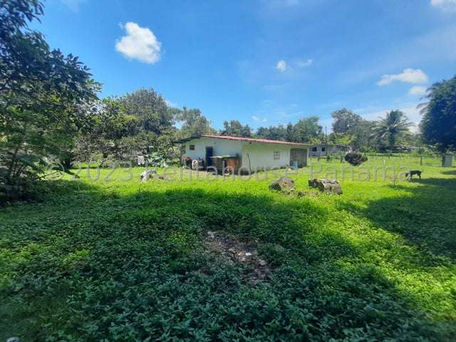 Terreno en Santa Marta, Bugaba, amplia propiedad con casa, terreno plano de gran tamaño y a 2 minutos de Interamericana - Imagen 11