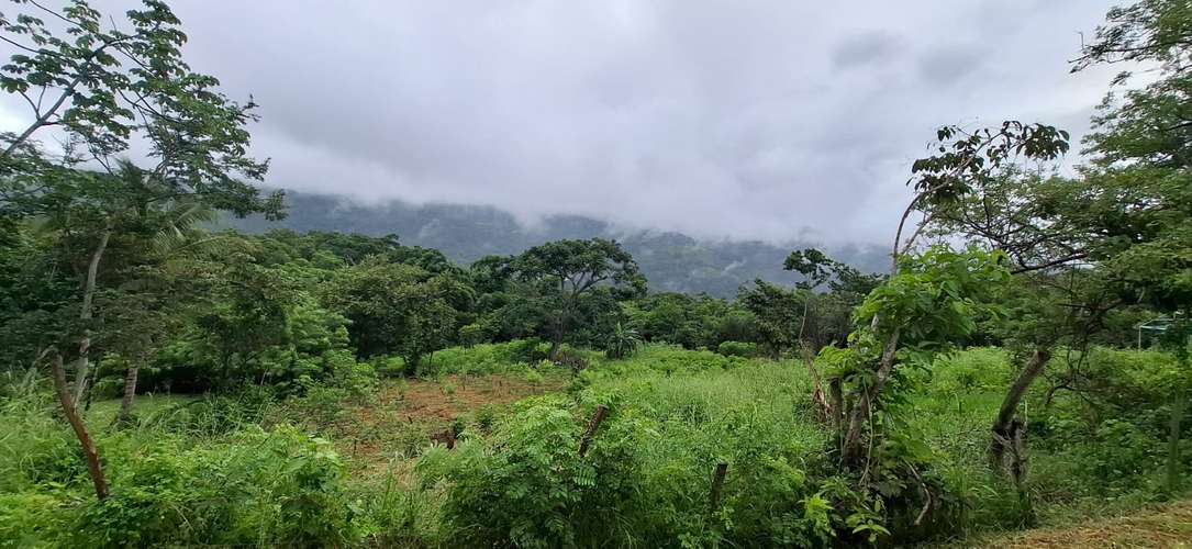 Terreno en Sora, Chame – 4500 m² por $97,000 - Imagen 6