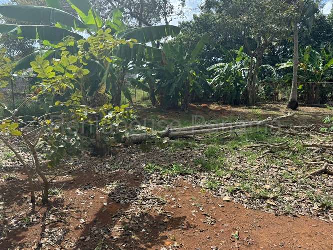 Venta de Terreno en Chorrera DDB26-4487 - Imagen 7